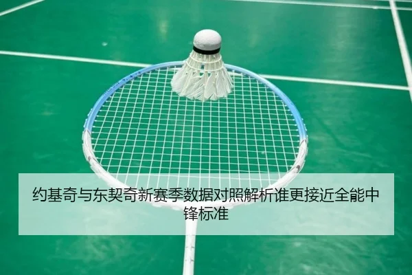 约基奇与东契奇新赛季数据对照解析谁更接近全能中锋标准